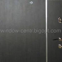 Вхідні металеві двері (зразок 119)