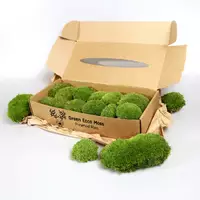 Стабилизированный мох Green Ecco Moss  кочка Светло Зеленый - Light GREEN 0,5 кг