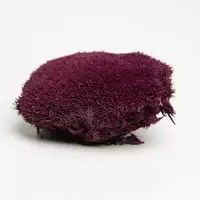 Стабилизированный мох Green Ecco Moss  кочка Пурпурная – PURPLE - 0,5 кг