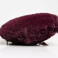 Стабилизированный мох Green Ecco Moss  кочка Пурпурная – PURPLE - 1 кг