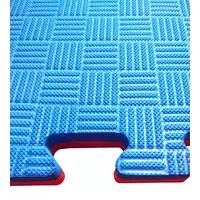 Мат татами (даянг, будо-мат) 100*100*2.6 см Eva-Line синий/красный Плетёнка Anti-Slide 100 кг/м3